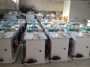 潍坊鲁瑞环保水处理设备有限公司 絮凝剂加药装置 吐鲁番自来水消毒